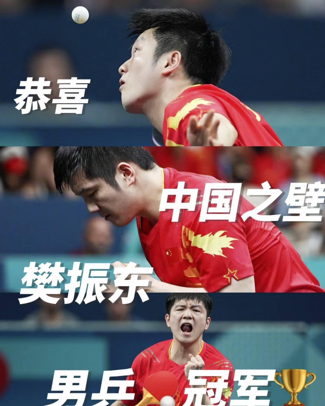 中国队轻取瑞典队，樊振东点燃赛场